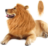 Dach Everywhere™ Lion Mane Dog Costume by Dach Everywhere