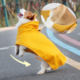 Dog waterproof Raincoat and Poncho with Belly Protection by Dach Everywhere