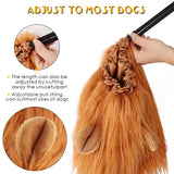 Dach Everywhere™ Lion Mane Dog Costume by Dach Everywhere