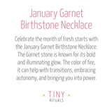 January Garnet Birthstone Necklace by Tiny Rituals