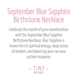 September Blue Sapphire Birthstone Necklace by Tiny Rituals