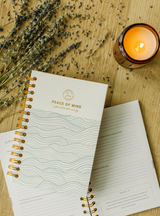 Peace of Mind: A Journal to Calm Anxiety (Aquamarine) by Promptly Journals