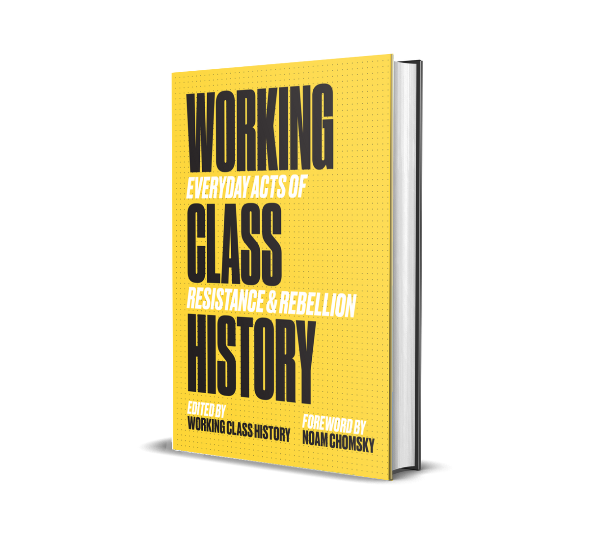 Working Class History: Everyday Acts of Resistance & Rebellion by Working Class History | Shop