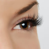 Perfect Vision Lash Style by True Beauty Lashes