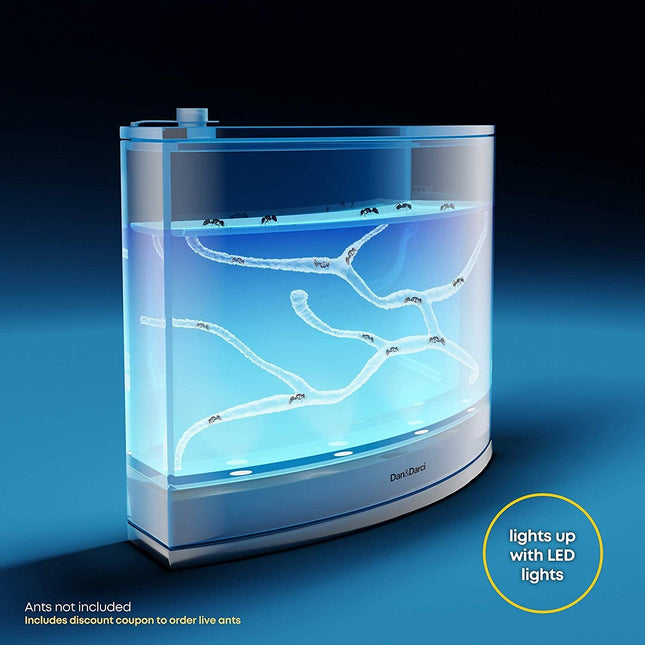 Light-up Ant Habitat- LED Ant Farm for Live Ants by Surreal Brands