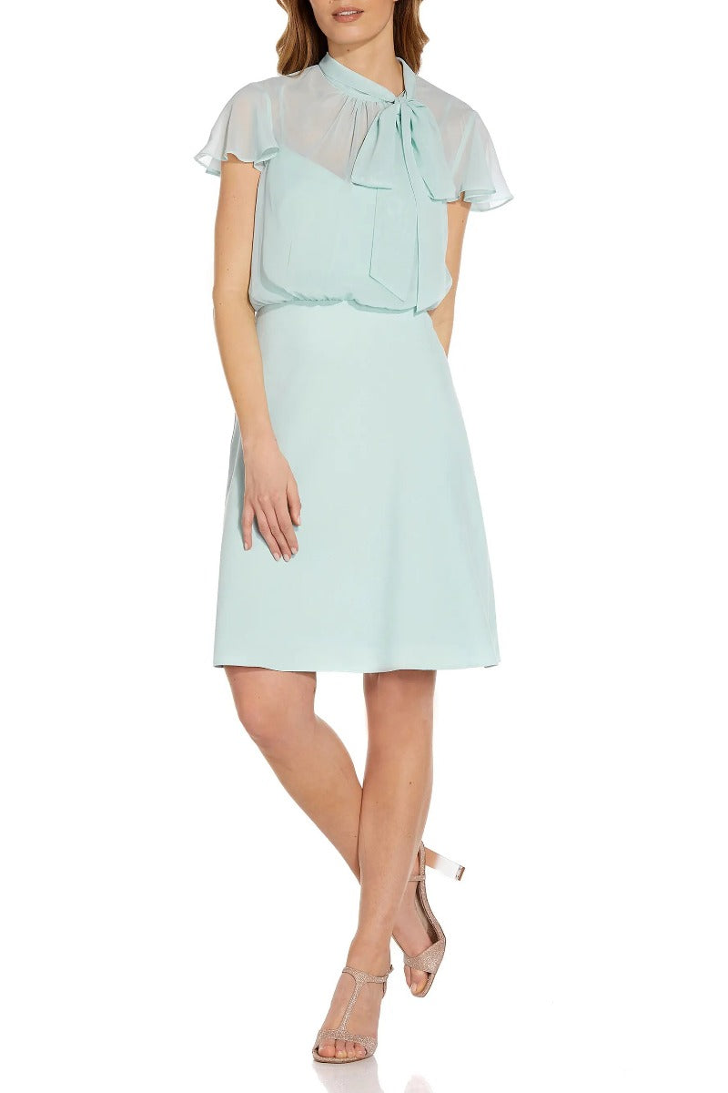 Adrianna Papell Tie Neck Illusion Sleeve Keyhole Back A-Line Crepe Chiffon Dress by Curated Brands