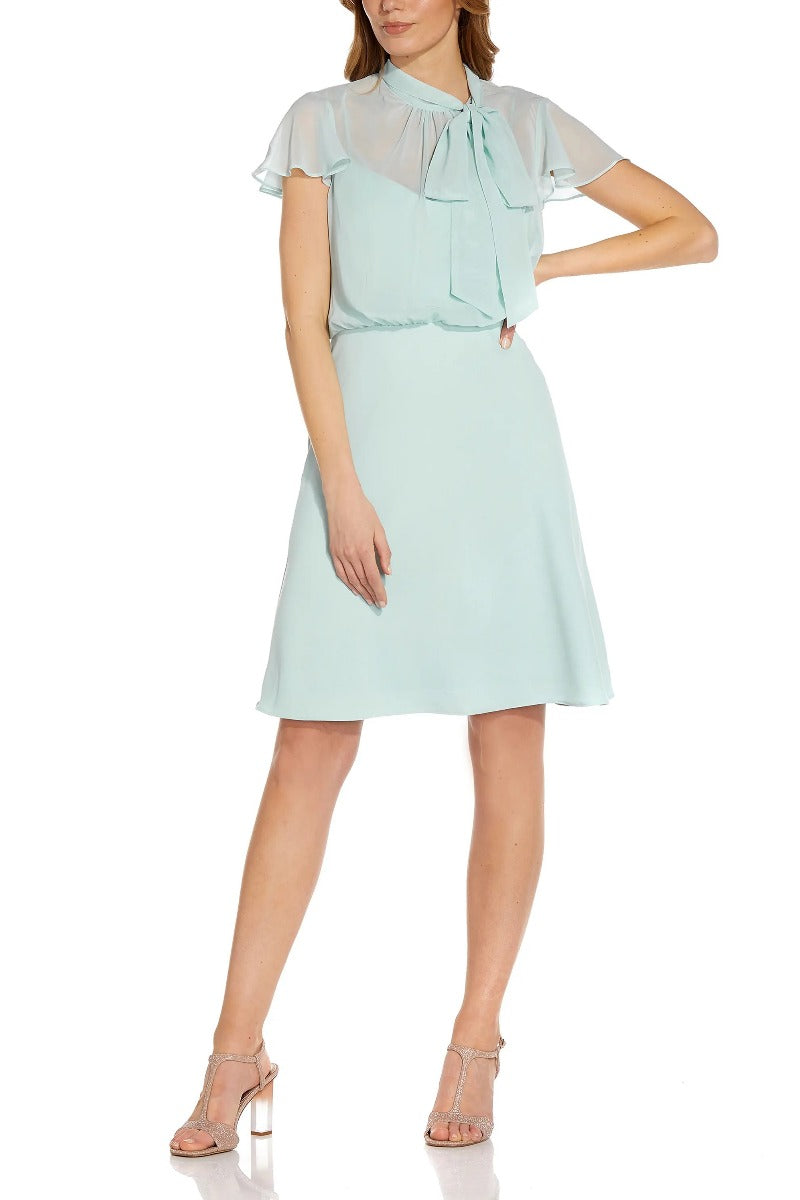 Adrianna Papell Tie Neck Illusion Sleeve Keyhole Back A-Line Crepe Chiffon Dress by Curated Brands