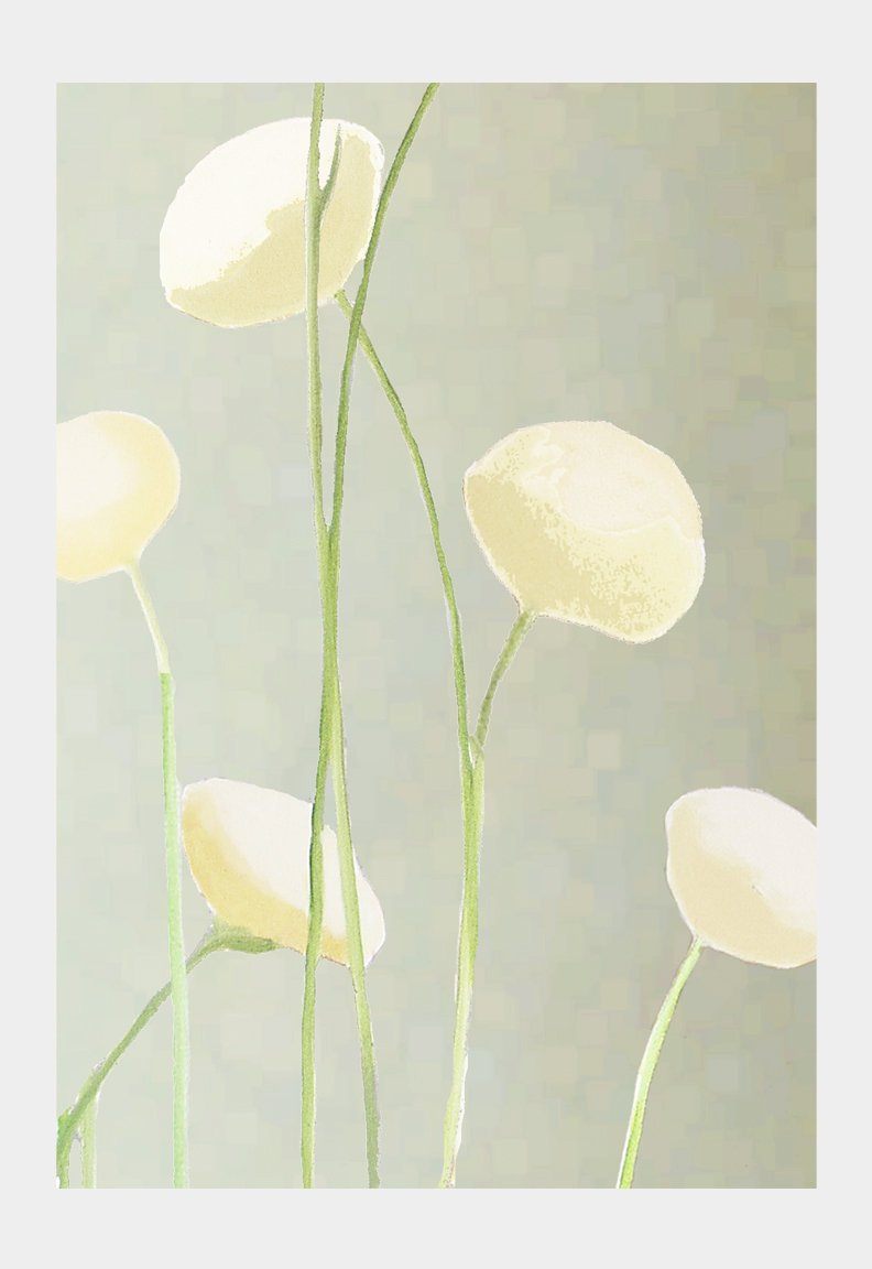 Art Print: Cream Flowers on Mist by India & Purry