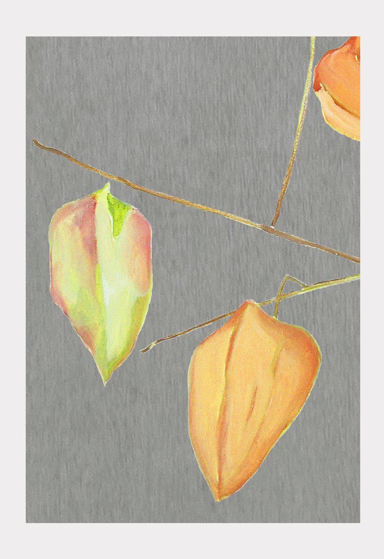 Art Print:  Lanterns on Grey by India & Purry