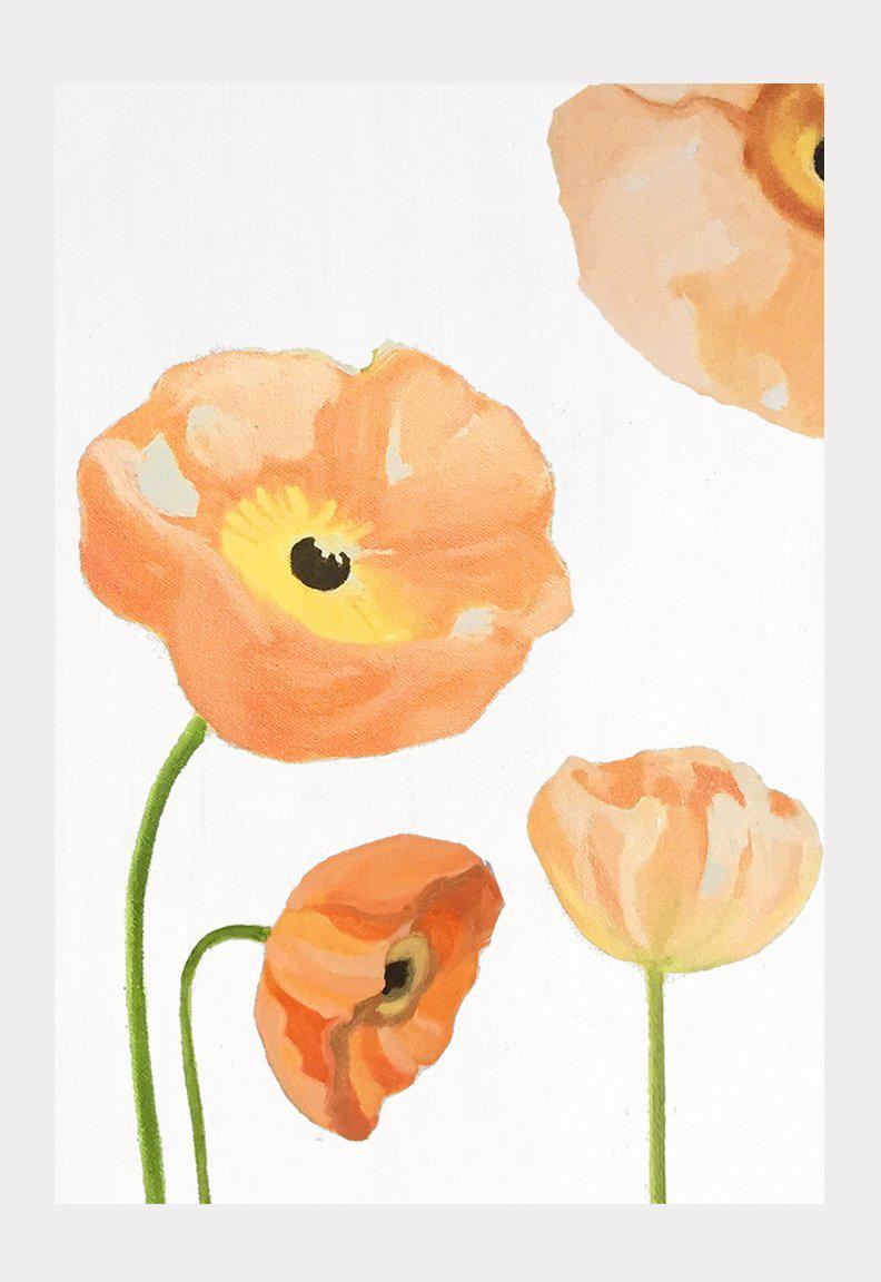 Art Print:  Peach Poppies on Snow by India & Purry