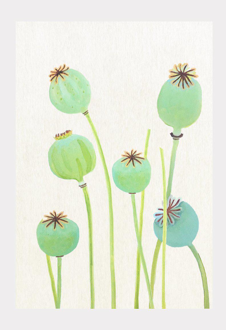 Art Print:  Poppy Pods on Ecru by India & Purry