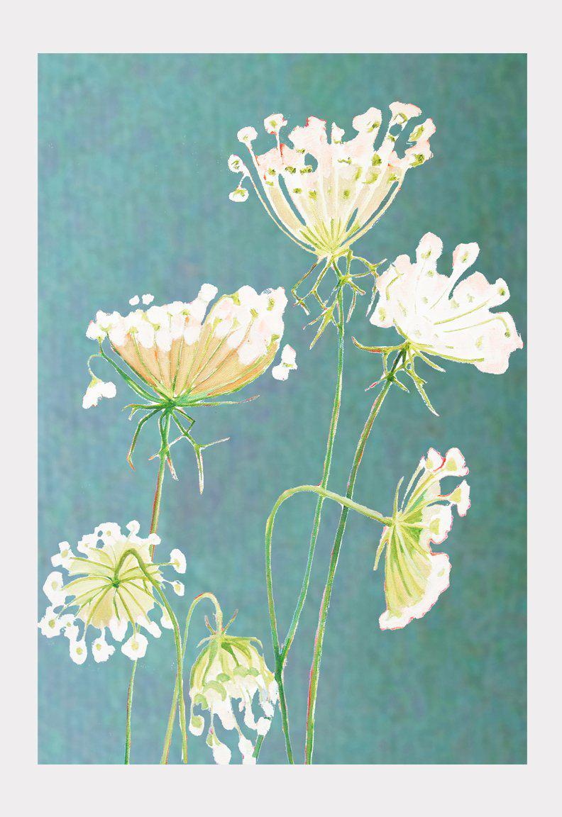 Art Print:  Queen Anne's Lace on Teal by India & Purry