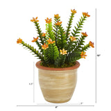 10” Flowering Sedum Succulent Artificial Plant in Ceramic Planter by Nearly Natural