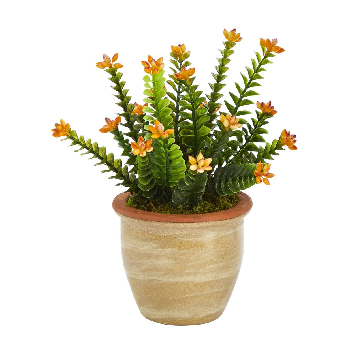 10” Flowering Sedum Succulent Artificial Plant in Ceramic Planter by Nearly Natural