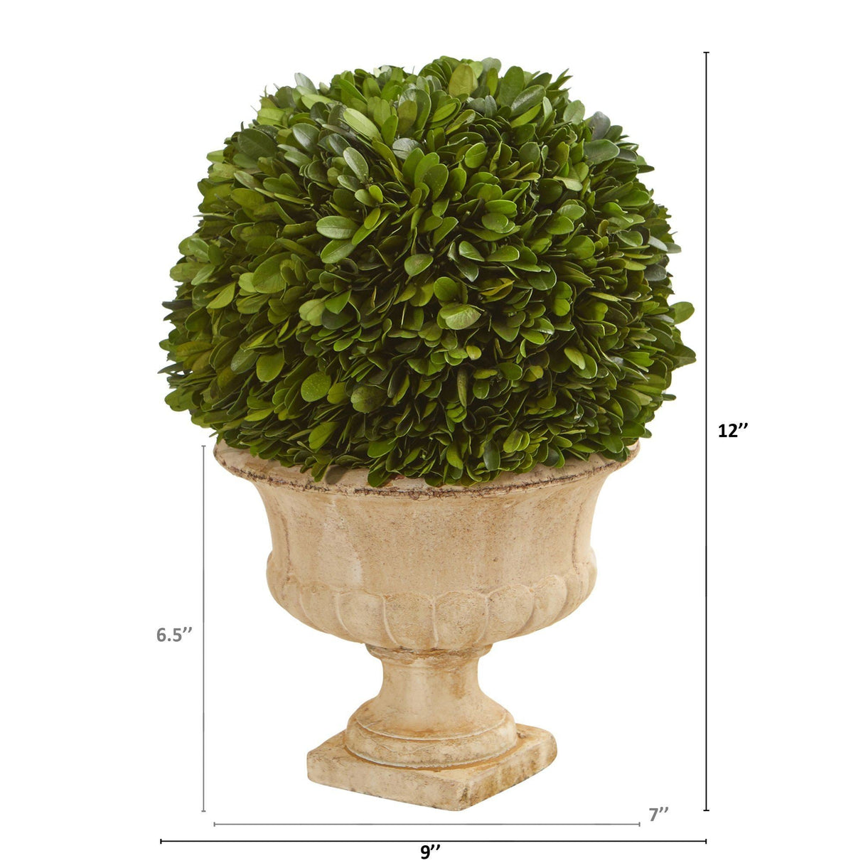 12” Boxwood Topiary Ball Preserved Plant in Decorative Urn by Nearly Natural