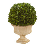 12” Boxwood Topiary Ball Preserved Plant in Decorative Urn by Nearly Natural