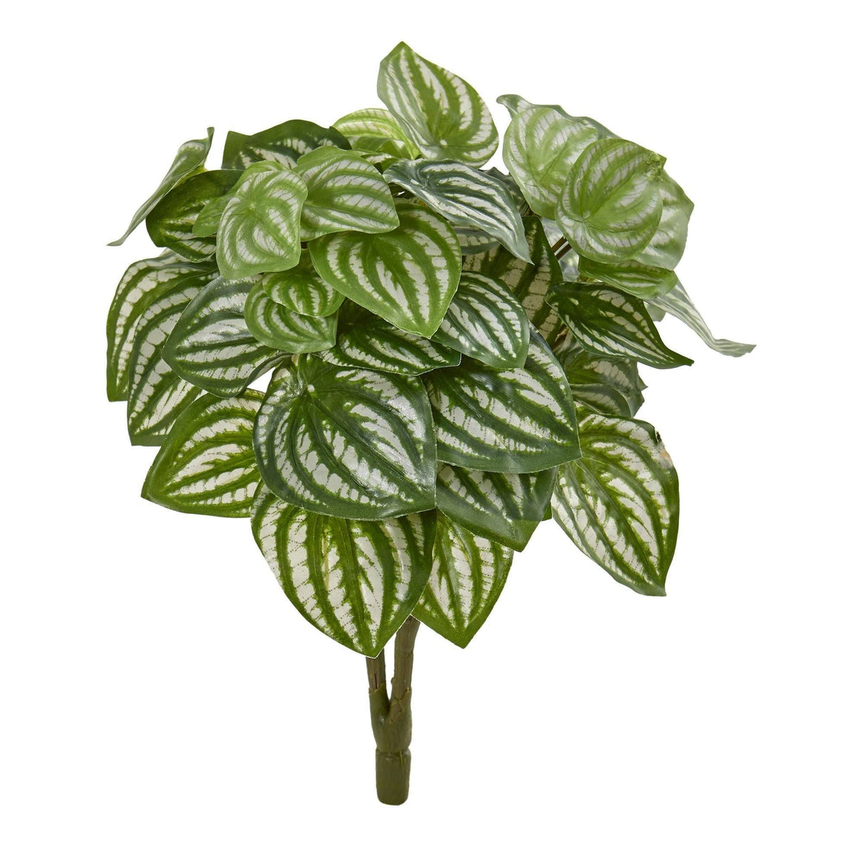 14” Watermelon Peperomia Artificial Plant (Set of 6) (Real Touch) by Nearly Natural