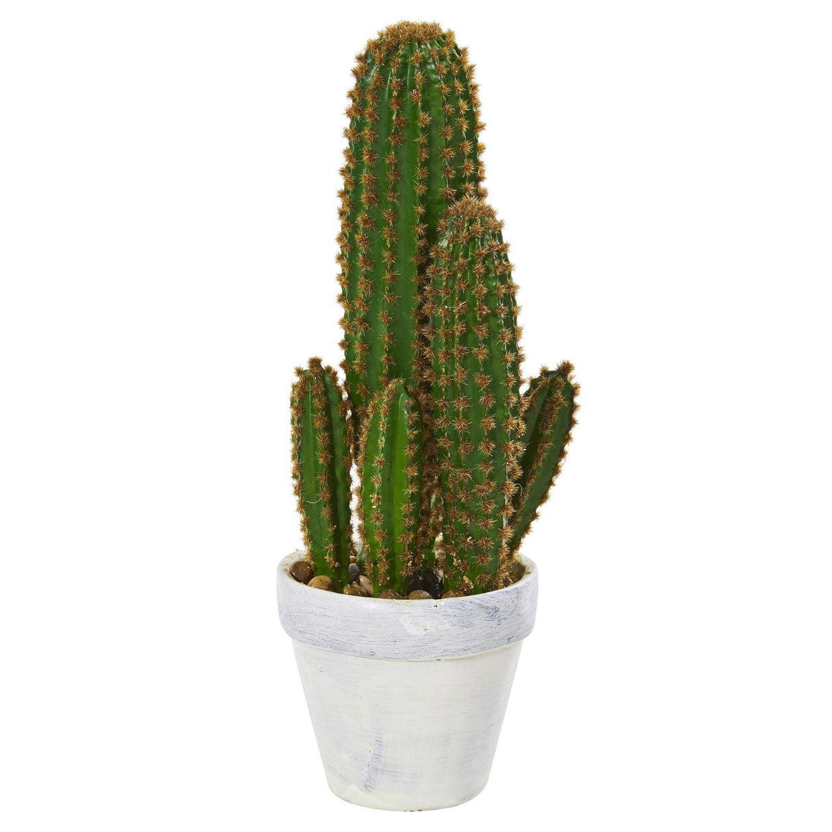 1.5’ Cactus Succulent Artificial Plant by Nearly Natural