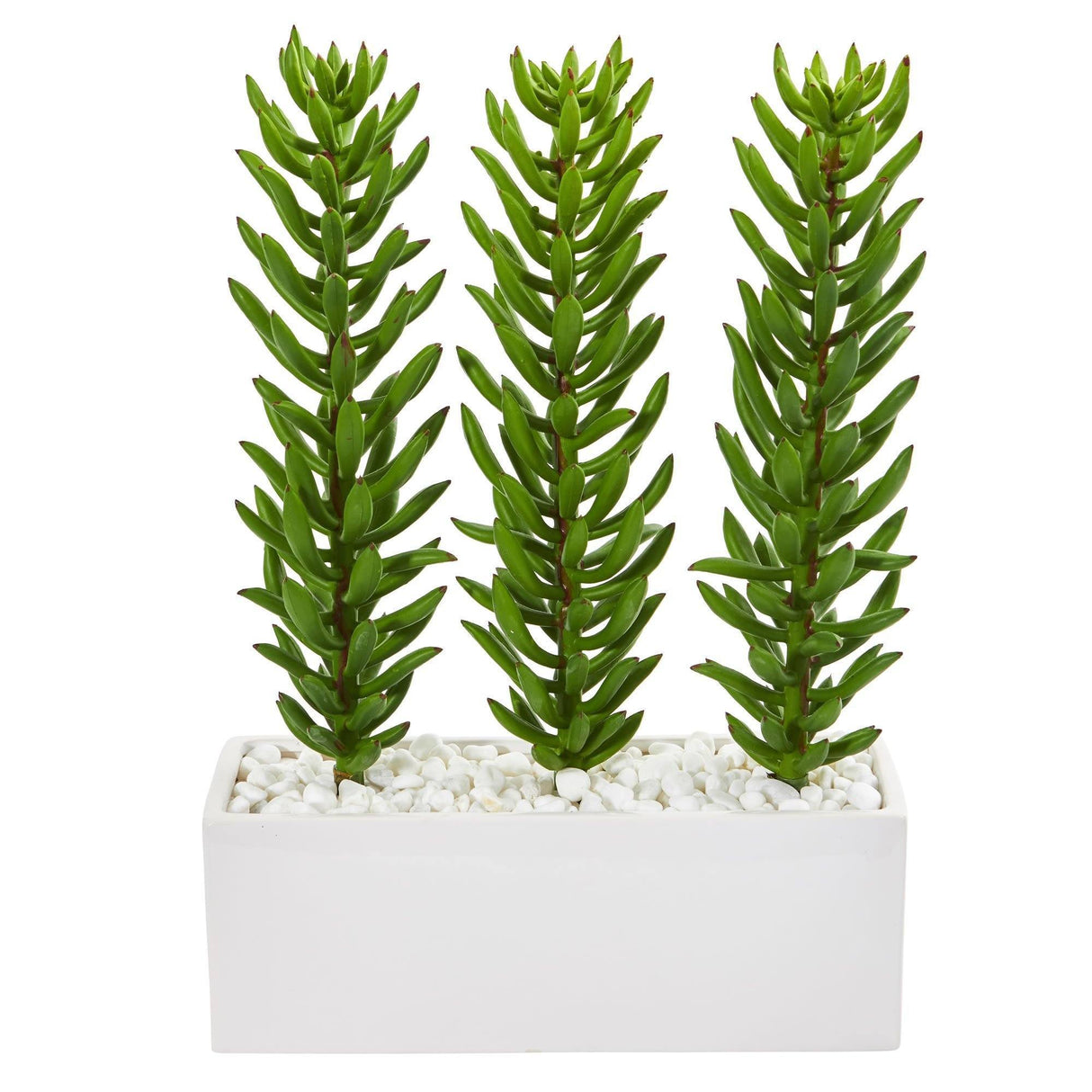 16” Succulent Spikes Artificial Plant in White Ceramic Vase by Nearly Natural