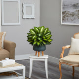 2’ Golden Dieffenbachia Artificial Plant in Black Planter with Stand by Nearly Natural