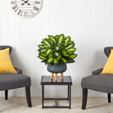 2’ Golden Dieffenbachia Artificial Plant in Black Planter with Stand by Nearly Natural