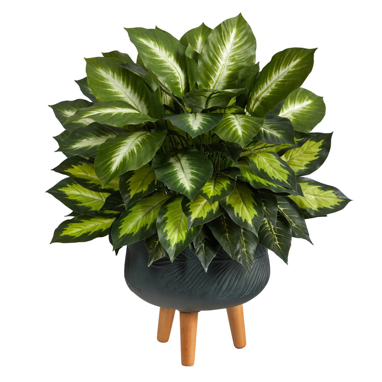 2’ Golden Dieffenbachia Artificial Plant in Black Planter with Stand by Nearly Natural