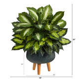 2’ Golden Dieffenbachia Artificial Plant in Black Planter with Stand by Nearly Natural