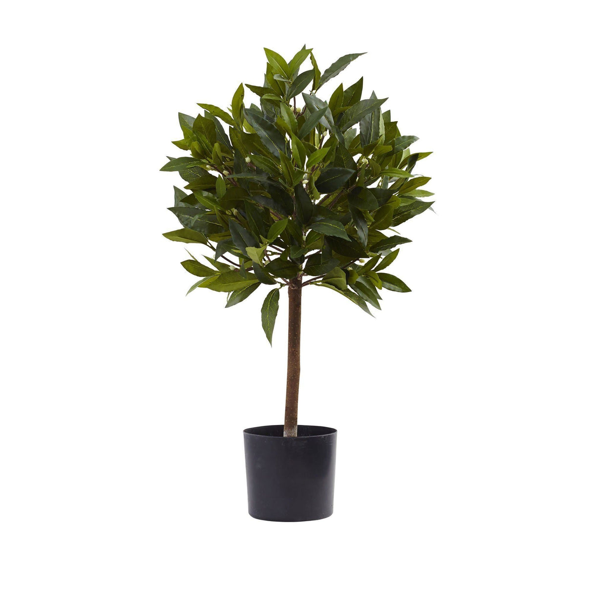 2' Sweet Bay Mini Ball Topiary by Nearly Natural