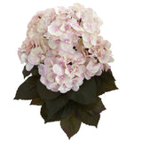 20” Fall Hydrangea Artificial Plant (Set of 2) by Nearly Natural