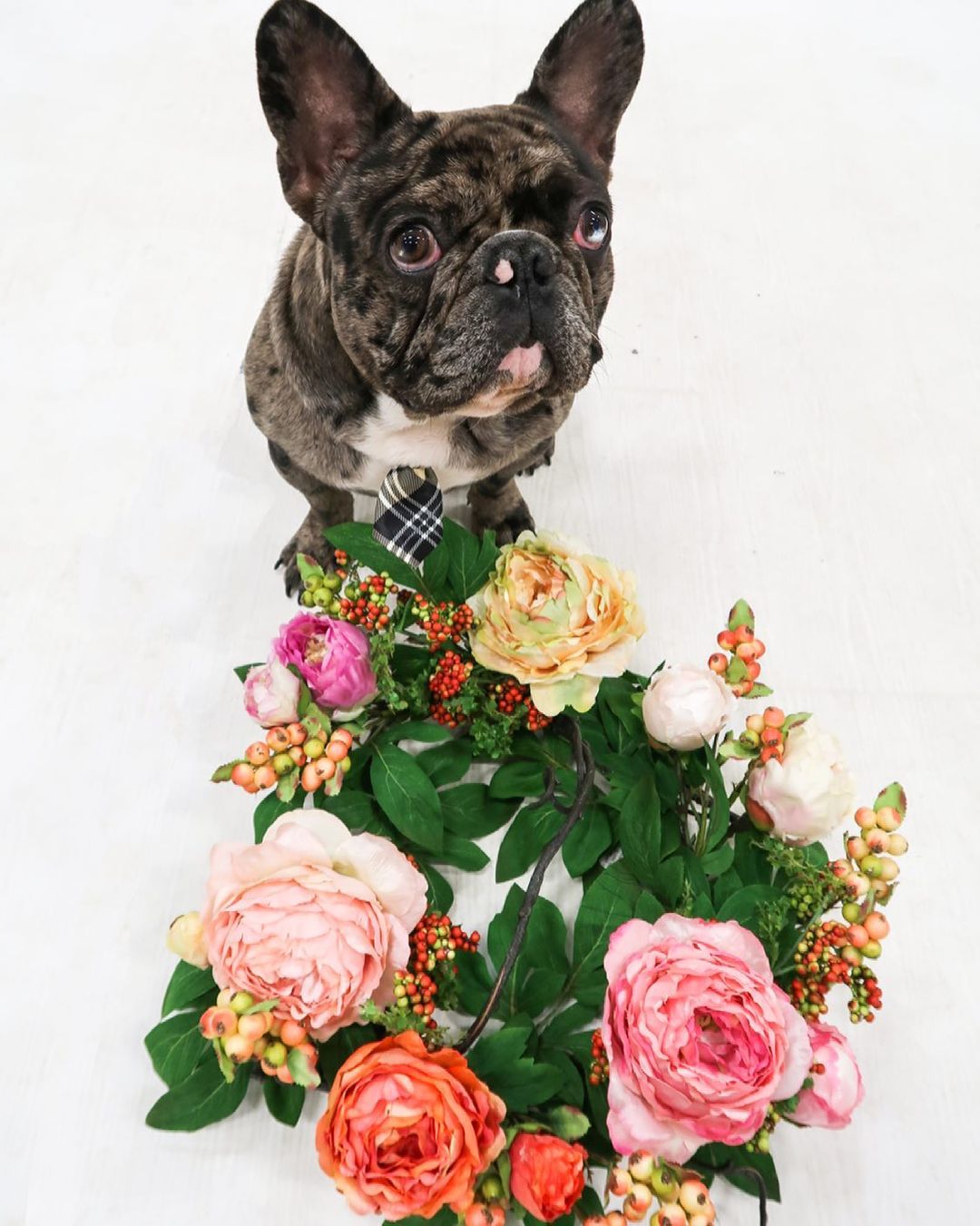 20'' Mixed Peony & Berry Wreath by Nearly Natural