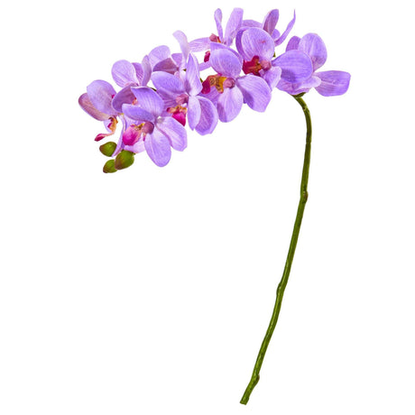 21” Artificial Phalaenopsis Orchid Flower (Set of 6) by Nearly Natural