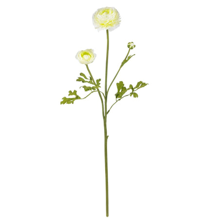 23" Ranunculus Stem (Set of 12)" by Nearly Natural