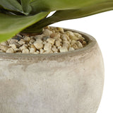 24" Agave in Sand Colored Bowl" by Nearly Natural