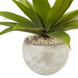 24" Agave in Sand Colored Bowl" by Nearly Natural