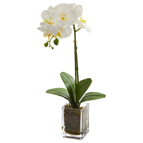 20” Orchid Phalaenopsis in vase by Nearly Natural