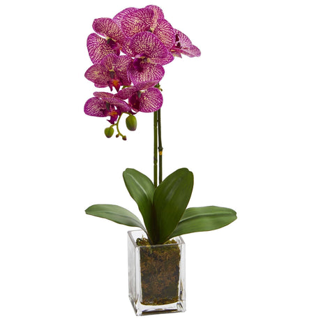 20” Orchid Phalaenopsis in vase by Nearly Natural