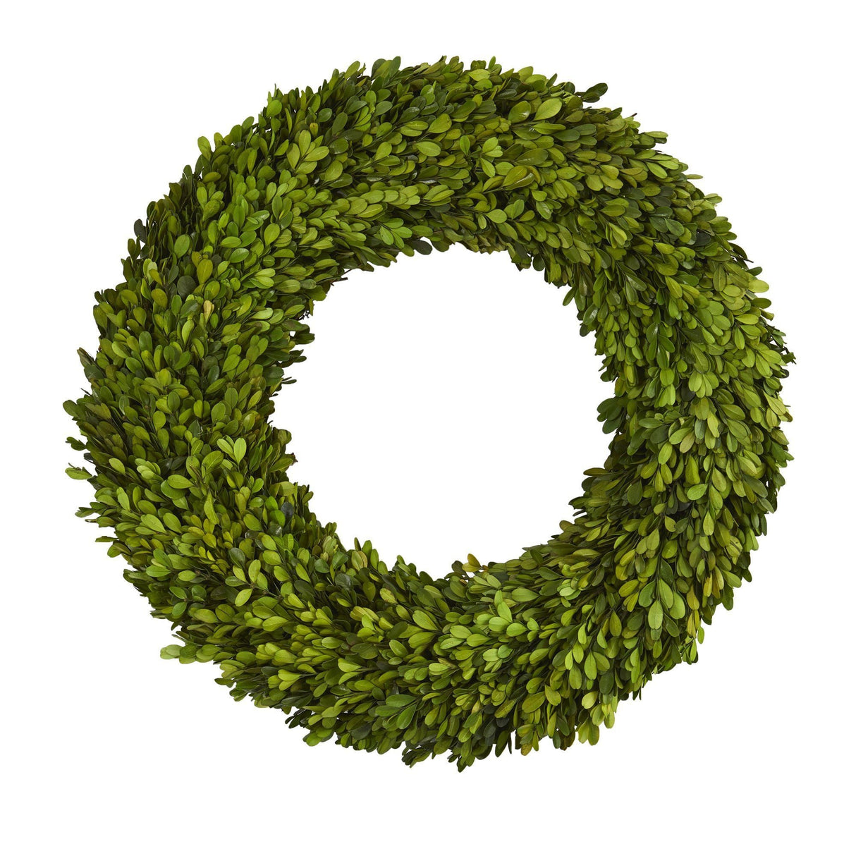 24” Preserved Boxwood Wreath by Nearly Natural