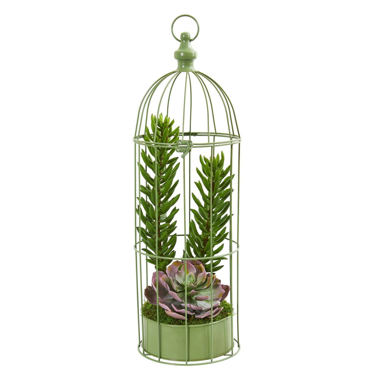 24” Succulent Garden Artificial Plant in Decorative Cage by Nearly Natural