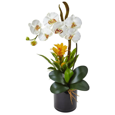 26” Orchid and Bromeliad in Glossy Black Cylinder by Nearly Natural