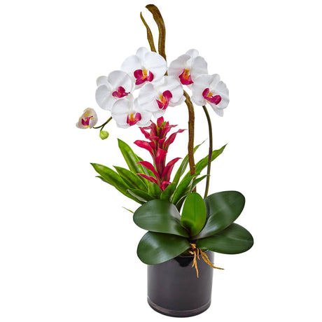 26” Orchid and Bromeliad in Glossy Black Cylinder by Nearly Natural