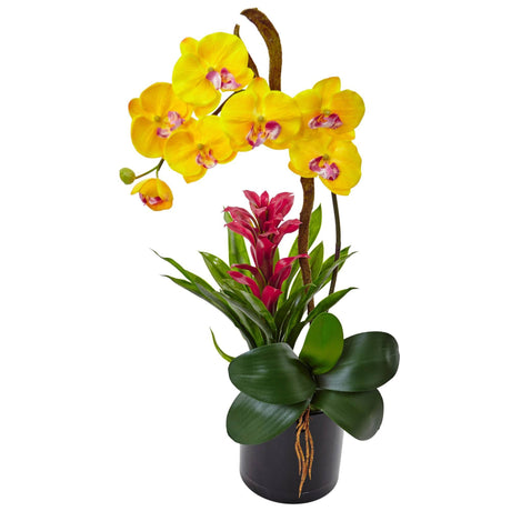 26” Orchid and Bromeliad in Glossy Black Cylinder by Nearly Natural