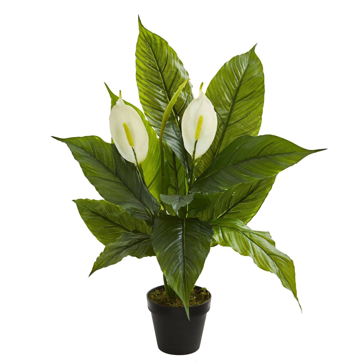 26” Spathiphyllum  Artificial Plant (Real Touch) by Nearly Natural