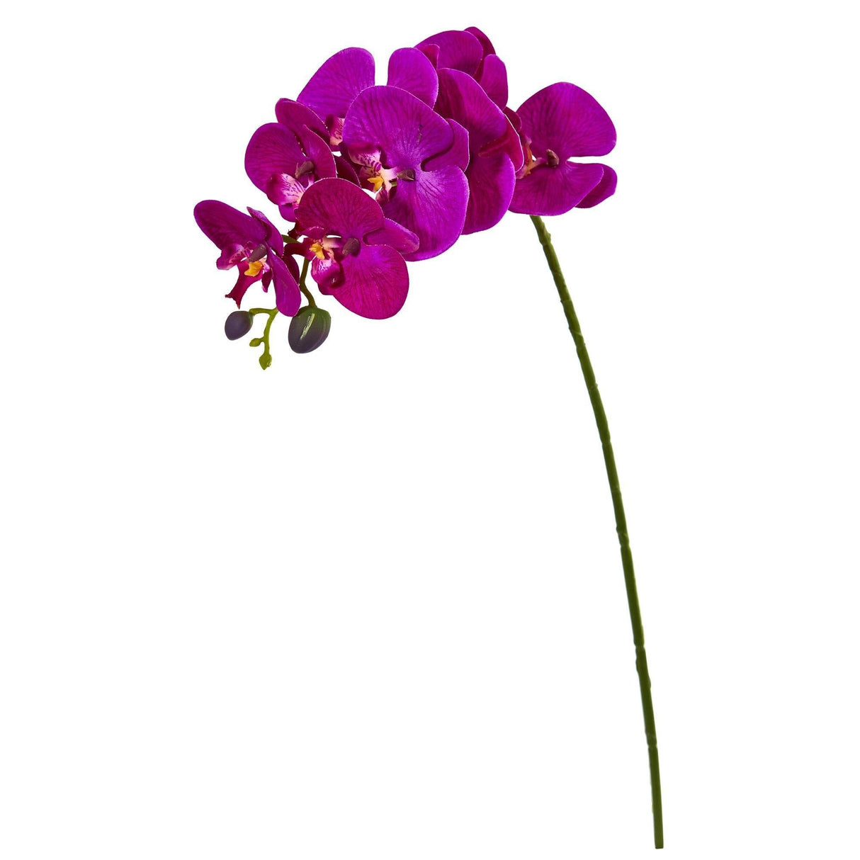 28” Orchid Phalaenopsis Artificial Flower Stem (Set of 6) by Nearly Natural