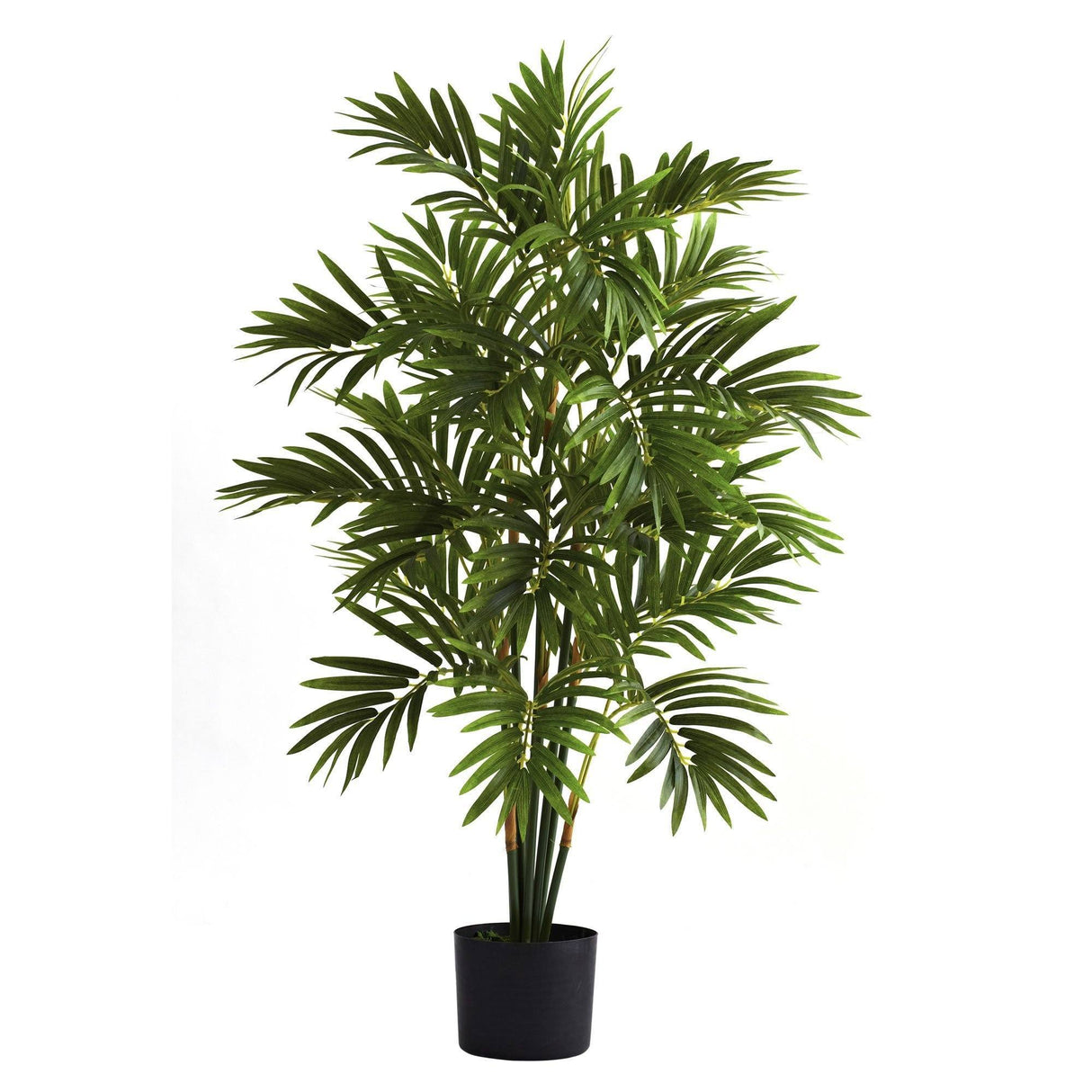 3’ Areca Palm Tree by Nearly Natural