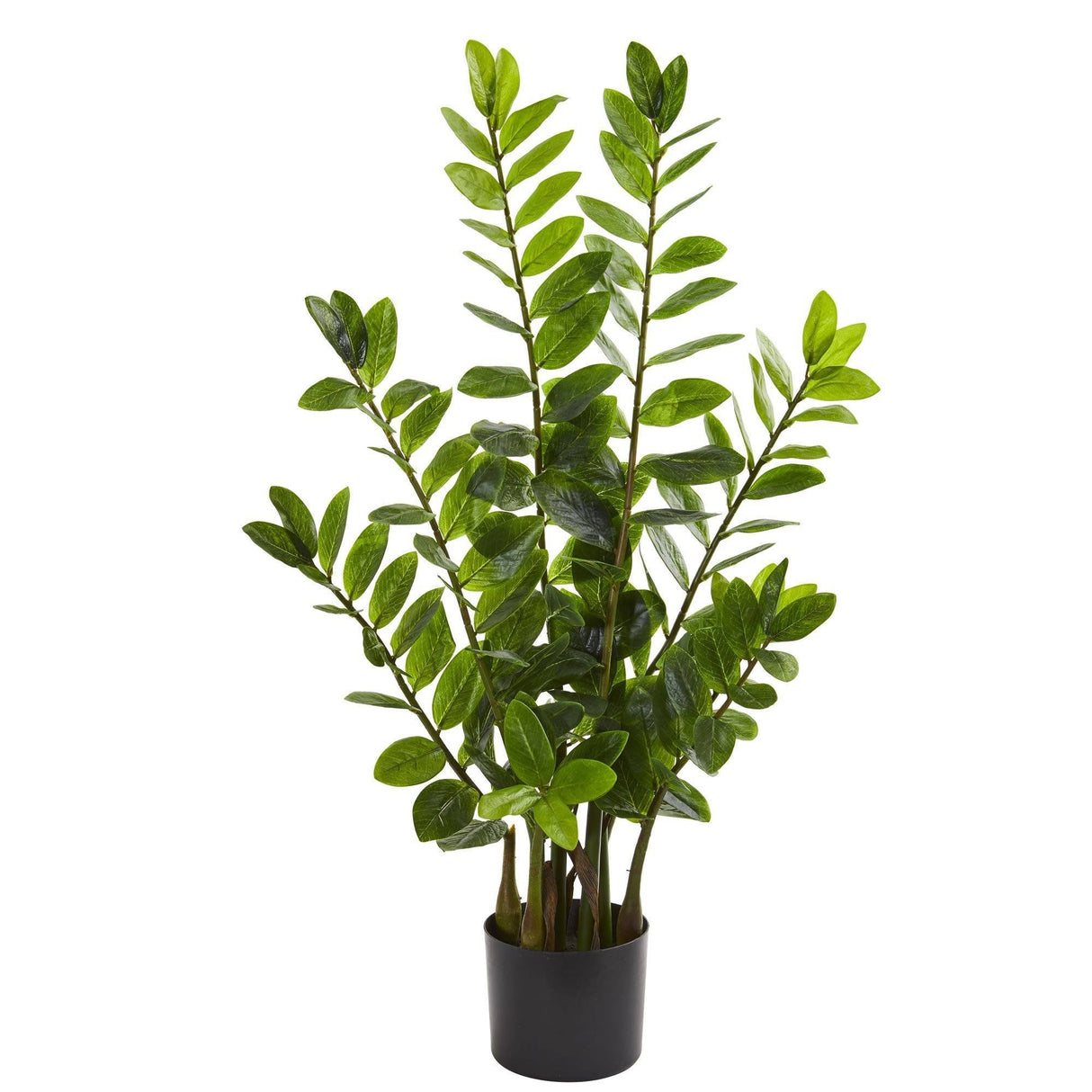 3’ Zamioculcas Artificial Plant by Nearly Natural