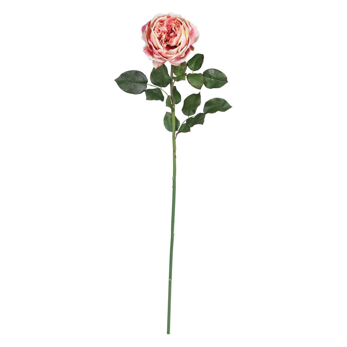 31" Large Rose Stem (Set of 12)" by Nearly Natural