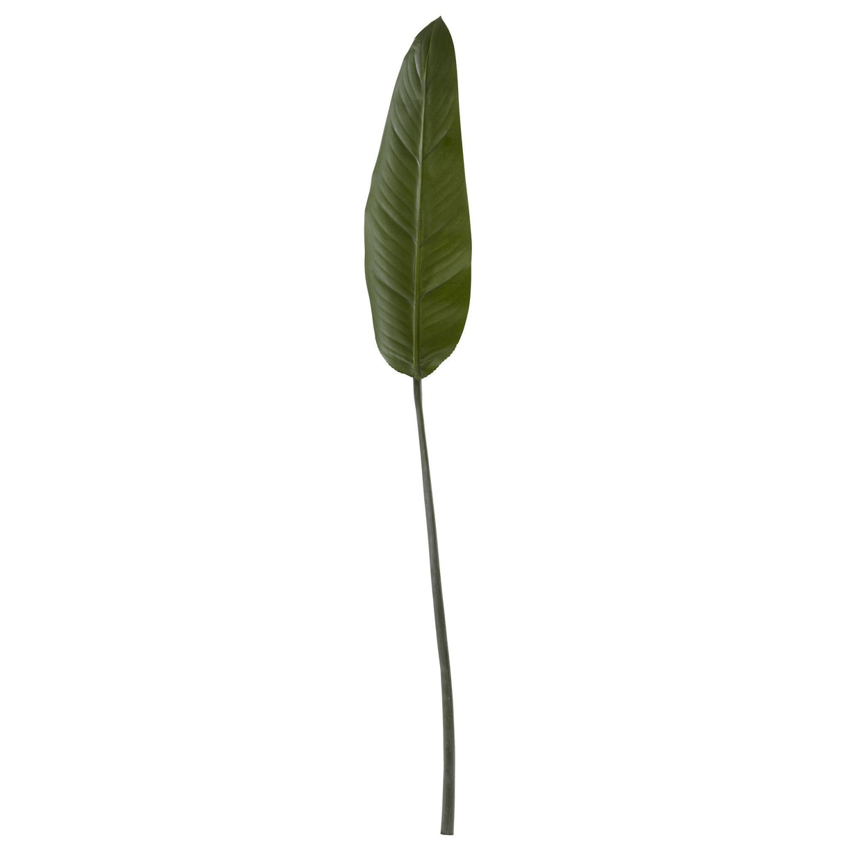 34” Bird of Paradise Leaf Artificial Plant (Set of 6) by Nearly Natural