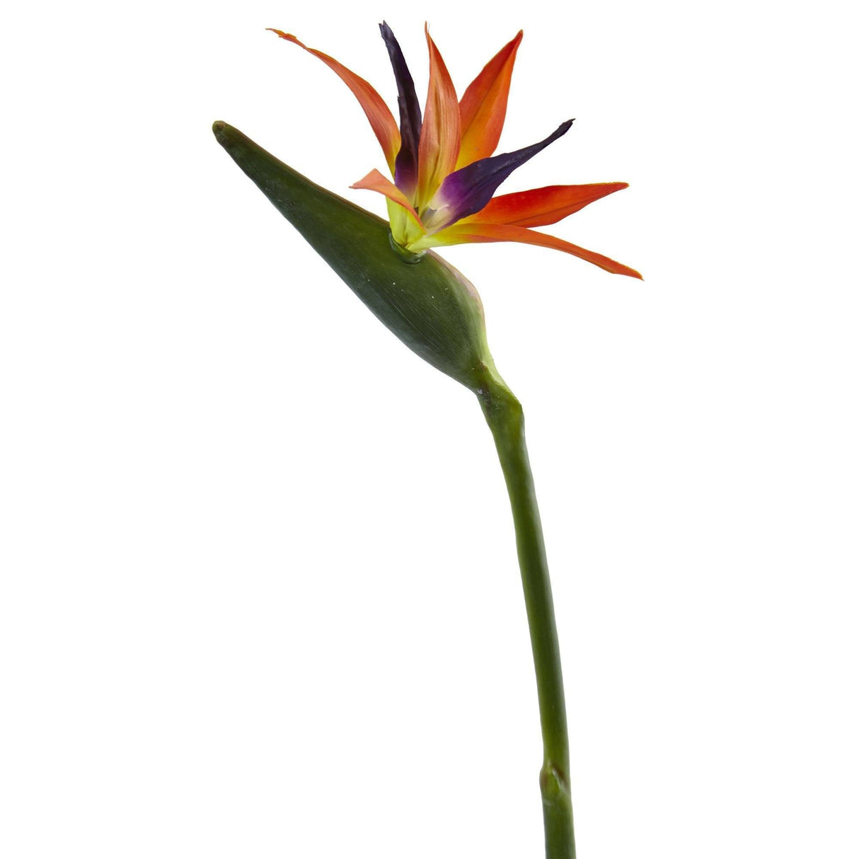 35’’ Bird of Paradise Artificial Flower (Set of 4) by Nearly Natural