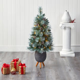 3.5’ Frosted Tip British Columbia Mountain Pine Artificial Christmas Tree by Nearly Natural