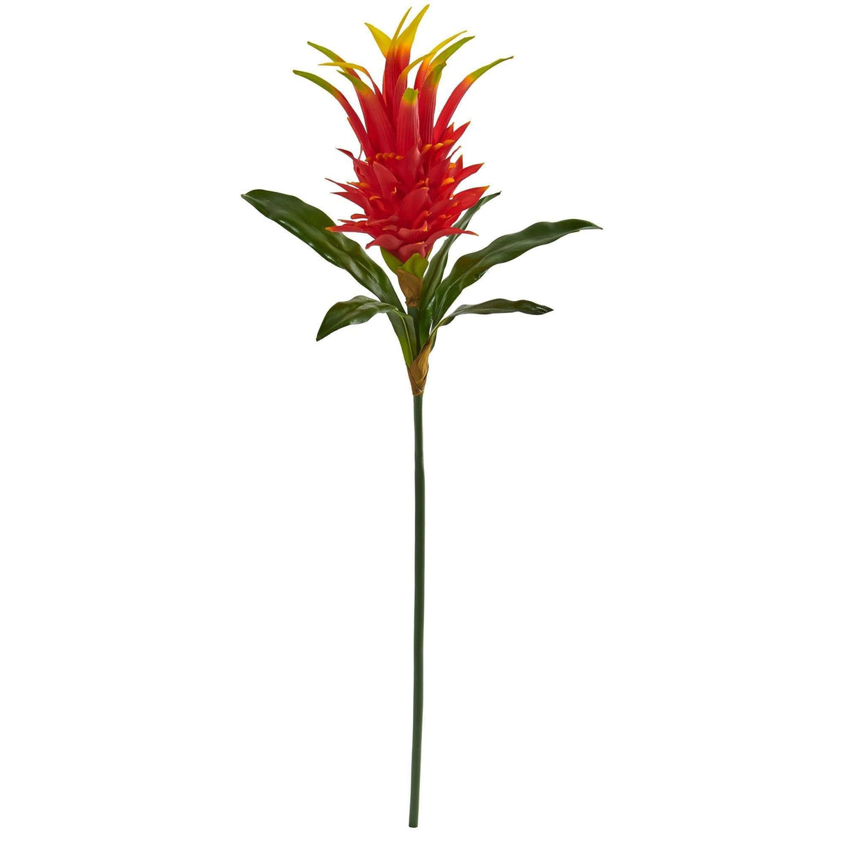 38” Dragon Fruit Flower Stem Artificial Flower (Set of 6) by Nearly Natural